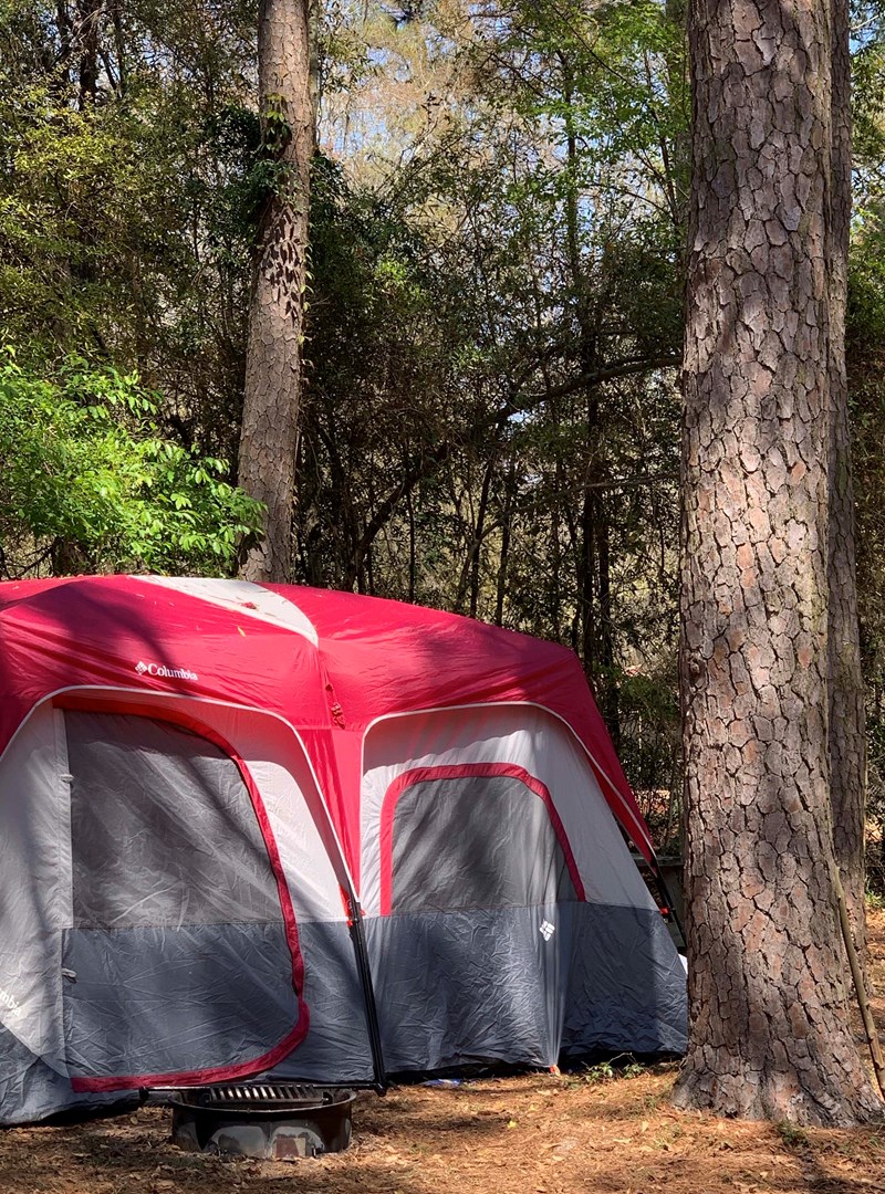 Summerton, South Carolina Tent Camping Sites Santee / Santee Lakes KOA